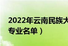 2022年云南民族大學有哪些專業(yè)（國家特色專業(yè)名單）
