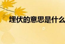 埋伏的意思是什么（埋伏的意思是什么）