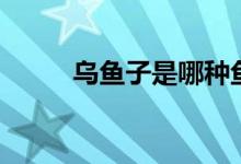 烏魚子是哪種魚（烏魚子什么梗）