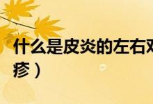 什么是皮炎的左右對(duì)稱分布（什么是皮炎性濕疹）