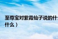 至尊寶對(duì)紫霞仙子說(shuō)的什么話（至尊寶和紫霞說(shuō)的那句話是什么）