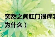 突然之間肛門很癢怎么回事（肛門突然很癢是為什么）