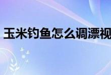 玉米釣魚怎么調(diào)漂視頻(玉米釣魚怎么掛鉤)