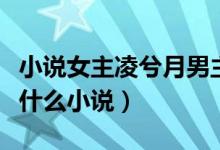 小說女主凌兮月男主北辰琰（凌兮月北辰琰是什么小說）