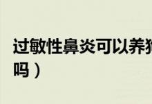 過敏性鼻炎可以養(yǎng)狗嗎（過敏性鼻炎可以根治嗎）