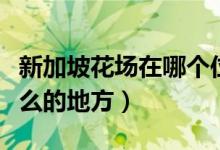 新加坡花場在哪個位置（新加坡掉花場是干什么的地方）