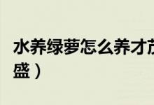 水養(yǎng)綠蘿怎么養(yǎng)才茂盛（水養(yǎng)綠蘿怎么養(yǎng)才茂盛）