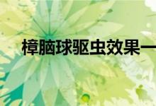 樟腦球驅(qū)蟲效果一般（樟腦球驅(qū)什么蟲）