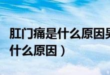 肛門痛是什么原因男性吃點什么藥（肛門痛是什么原因）