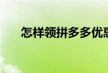 怎樣領(lǐng)拼多多優(yōu)惠券（怎樣領(lǐng)皈依證）