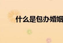 什么是包辦婚姻（什么是包皮包莖）
