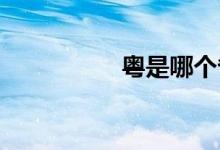 粵是哪個(gè)省的簡(jiǎn)稱車牌
