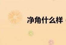 凈角什么樣（凈角什么意思）