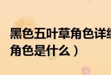 黑色五葉草角色詳細介紹（黑色五葉草的登場角色是什么）