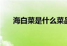 海白菜是什么菜品（海白菜是海帶嗎）