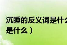沉睡的反義詞是什么標(biāo)準(zhǔn)答案（沉睡的反義詞是什么）