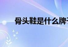 骨頭鞋是什么牌子（gtx是什么牌子）