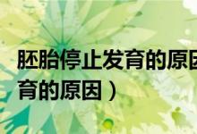 胚胎停止發(fā)育的原因有必要查嗎（胚胎停止發(fā)育的原因）