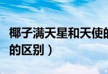 椰子滿天星和天使的區(qū)別（椰子滿天星和天使的區(qū)別）
