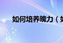 如何培養(yǎng)魄力（如何培養(yǎng)魄力和膽識）