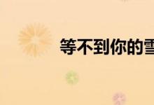 等不到你的雪月風(fēng)花是什么歌