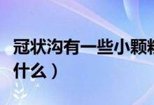 冠狀溝有一些小顆粒（冠狀溝有一圈小顆粒是什么）
