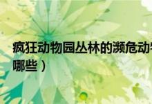 瘋狂動物園叢林的瀕危動物（瘋狂動物園叢林的瀕危動物有哪些）