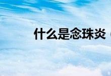 什么是念珠炎（什么是念珠菌?。?class=