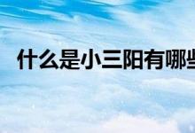 什么是小三陽(yáng)有哪些癥狀（什么是小三陽(yáng)）