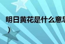 明日黃花是什么意思?。魅拯S花是什么意思）