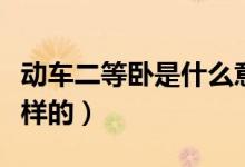 動車二等臥是什么意思啊（動車二等臥是什么樣的）