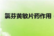 氯芬黃敏片藥作用（氯芬黃敏片是什么藥）