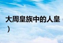 大周皇族中的人皇（大周皇族里玄冥境都有誰）