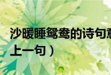 沙暖睡鴛鴦的詩句意思是什么（沙暖睡鴛鴦的上一句）