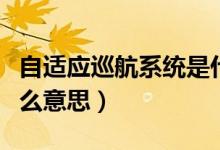 自適應巡航系統(tǒng)是什么（自適應巡航系統(tǒng)是什么意思）