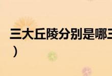 三大丘陵分別是哪三大（三大丘陵分別是什么）