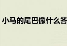 小馬的尾巴像什么答案（小馬的尾巴像什么）