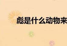 彪是什么動物來歷（彪是什么動物）