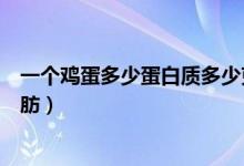 一個雞蛋多少蛋白質多少克脂肪（一個雞蛋多少蛋白質和脂肪）