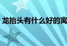 龍?zhí)ь^有什么好的寓意（龍?zhí)ь^的寓意講解）