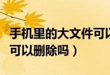 手機里的大文件可以刪除嗎(手機里的大文件可以刪除嗎)