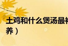 土雞和什么煲湯最補(bǔ)（土雞和什么煲湯最有營養(yǎng)）