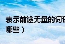 表示前途無量的詞語（形容前途無量的詞語有哪些）
