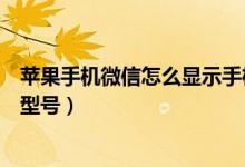 蘋果手機(jī)微信怎么顯示手機(jī)號（蘋果手機(jī)微信怎么顯示手機(jī)型號）