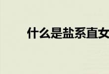 什么是鹽系直女（什么是鹽系手帳）