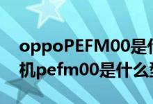 oppoPEFM00是什么型號的手機(jī)（oppo手機(jī)pefm00是什么型號）