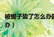 被蝎子蟄了怎么辦的土方法（被蝎子蟄了怎么辦）