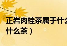 正巖肉桂茶屬于什么檔次的(正巖肉桂茶屬于什么茶)