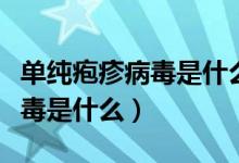單純皰疹病毒是什么病能治愈嗎（單純皰疹病毒是什么）