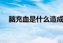 腦充血是什么造成的（腦充血是什么?。?class=